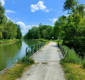 Nargis-Bagneaux le long du canal de Loing - Nargis - 5