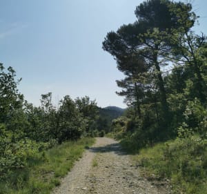 Boucle depuis le hameau des Putis avec vue sur la Sainte-Victoire - Simiane-Collongue - 3