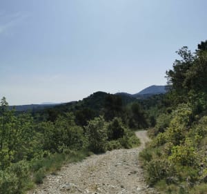 Boucle depuis le hameau des Putis avec vue sur la Sainte-Victoire - Simiane-Collongue - 4