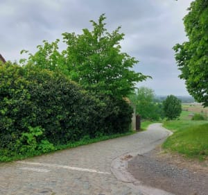 Sortie entre Brevet Paterberg Kwaremont - Willems - 5