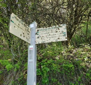 Tête du Char par les pâturages de l'Herpettaz - Habère-Lullin - 4