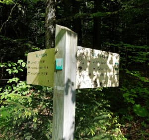 Tête du Char par les pâturages de l'Herpettaz - Habère-Lullin - 5