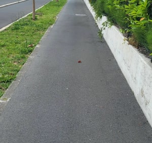 Piste cyclables Bayonne et Anglet entre ville et océan à Vélo - Bayonne - 3