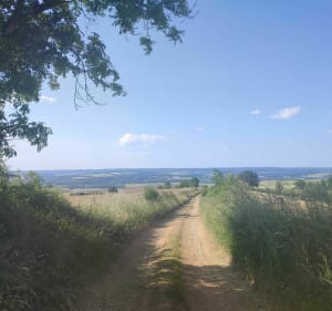 Balade autour d'Amblimont avec de superbes vues - Mouzon - 4