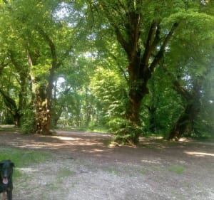 Entre voie verte et GR 59 et Fontaine, départ de Perrigny - Perrigny - 3