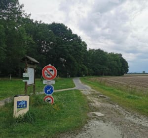 Autour de la plaine du Pont-Long à Montardon - Montardon - 3