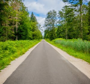 Balade à Dole entre la Forêt de Chaux et le Doubs - Dole - 3