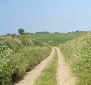 Boucle champêtre entre Reumont et Troisvilles - Reumont - 4