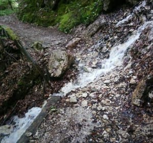 Les Allues par le Bois de Cythère - Brides-les-Bains - 4