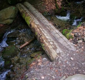 Les Allues par le Bois de Cythère - Brides-les-Bains - 5