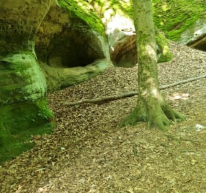 Promenade à VTT dans les forêts du Warnd - Creutzwald - 3