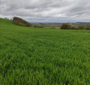 Marche gourmande à Magnicourt en Comté - Magnicourt-en-Comte - 5