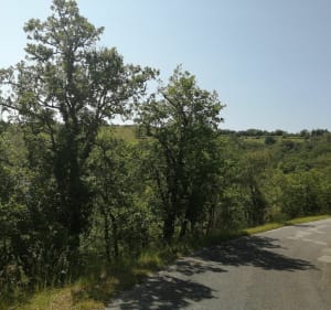 Boucle Mels - Lamagdelaine - Laroque-des-Arcs - Constans - Lamagdelaine - 5