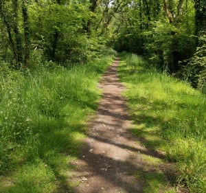Gripôts, Potereau, Basse Goulaine à VTT - Saint-Sébastien-sur-Loire - 4