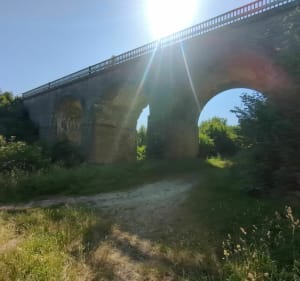 Parcours de santé en forêt à Auneau - Auneau-Bleury-Saint-Symphorien - 3