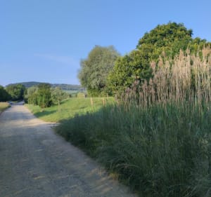 Sortie VTT vers l'étang du Rouhau - Belleau - 3