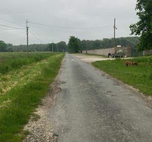 Autour des Egrefins - Neufmoutiers-en-Brie - 3