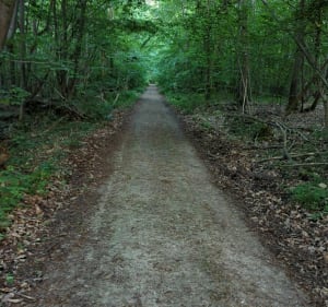 Hauteurs forestières de Saint Marcel - Saint-Marcel - 3