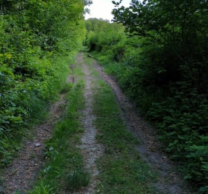 Hauteurs forestières de Saint Marcel - Saint-Marcel - 4