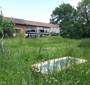 Sentier de Meilhac - Meilhac - 3