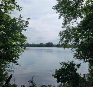 Au bord du canal depuis Lipsheim - Lipsheim - 3