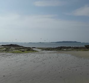 Wilde kant van Lancieux vanaf het strand van Saint Sieuc - Lancieux - 3