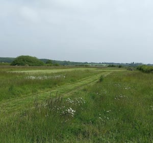 Wilde kant van Lancieux vanaf het strand van Saint Sieuc - Lancieux - 4