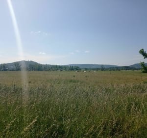 Jolie promenade autour du lac de Vesoul - Pusey - 3