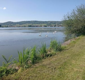 Jolie promenade autour du lac de Vesoul - Pusey - 4