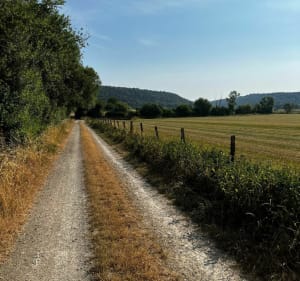 Sortie autour de Vignot par la Croix de la Trace - Vignot - 4