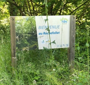 Belle balade à Bussac sur Charente - Bussac-sur-Charente - 5