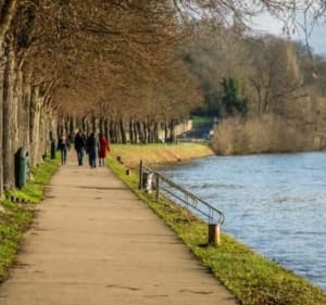 Promenade entre Melun et Livry-sur-Seine - Dammarie-les-Lys - 3