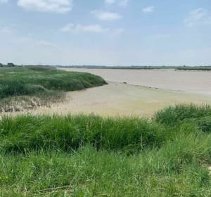 Chemin de la Charente autour de Rochefort par le Martrou à vélo - Rochefort - 3