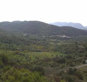 Le roc du Paradet depuis Prugnanes - Prugnanes - 4