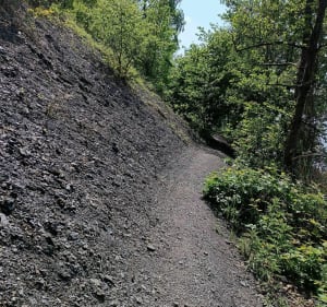 Depuis la Trouée d'Arenberg jusqu'au terril - Wallers - 4