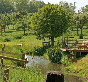 Balade le long du Laizon - Mézidon Vallée d'Auge - 4