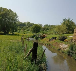 Balade le long du Laizon - Mézidon Vallée d'Auge - 5