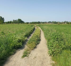 Tour de la Garonne par le sud de Toulouse (Gravel/Route) - Toulouse - 4