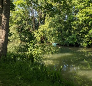 L'île sainte Catherine, oasis de verdure à Créteil - Karine - 3