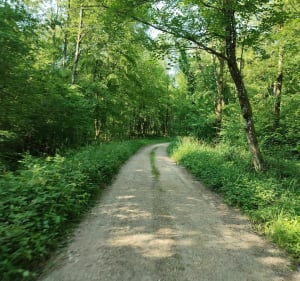 Grande promenade bien agréable à mettre dans sa" Besace" - La Besace - 4
