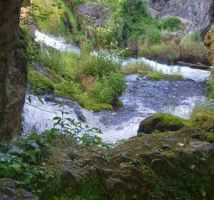 Sentier botanique de Vissec aux moulins de la Foux - Vissec - 3