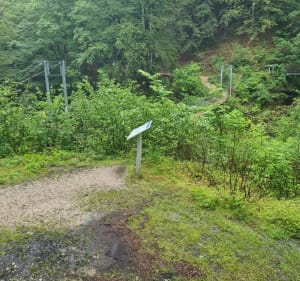 Sentier botanique et Trou Bleu depuis Bas-Morez. - Hauts-de-Bienne - 5