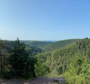 Boucle Neuwiller-lès-Saverne - La Petite-Pierre - Neuwiller-lès-Saverne - 5