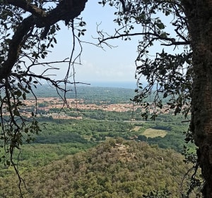 Le chemin du liège - Argelès-sur-Mer - 5