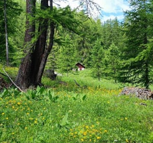 Freissinières point I, cabane du parc, Champcella - Freissinières - 4