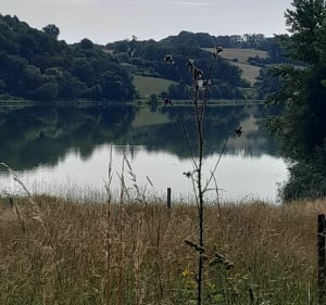 Boucle Urdès-lac de Doazon-Urdès par Retenue de l'Aubin - Urdès - 4