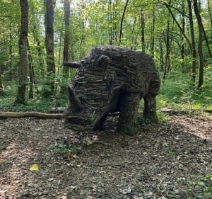 Art bois et vélo du coté de Lahaymeix - Nicey-sur-Aire - 5