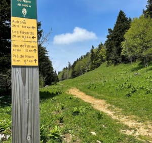 De Nave au Bec de l’Orient - Autrans-Méaudre-en-Vercors - 4