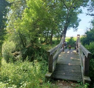 Boucle autour du village de Quintenas par Le Vignet et Petit Chizaret - Quintenas - 3