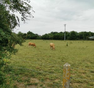 Balade dans la campagne Audomaroise par Ecques - Saint-Augustin - 3